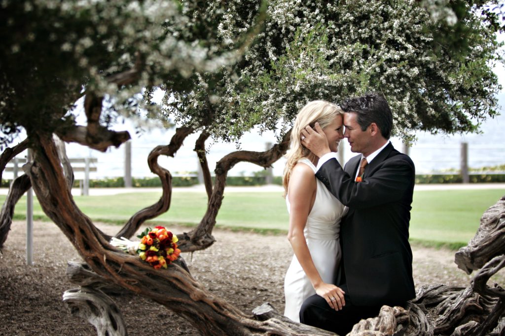 bride and groom embracing at curved brand tree