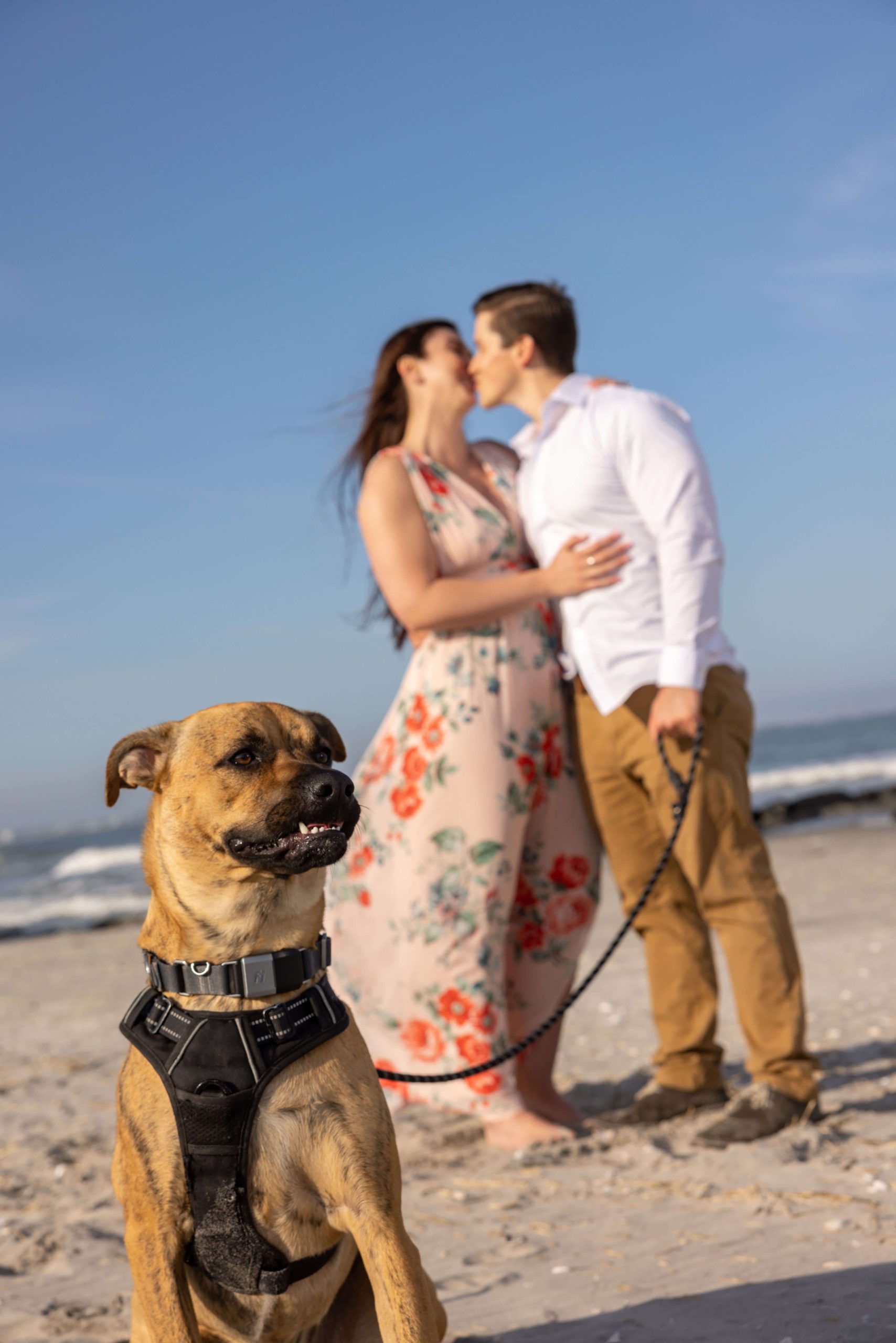 couple kissing at beach with dog on leash