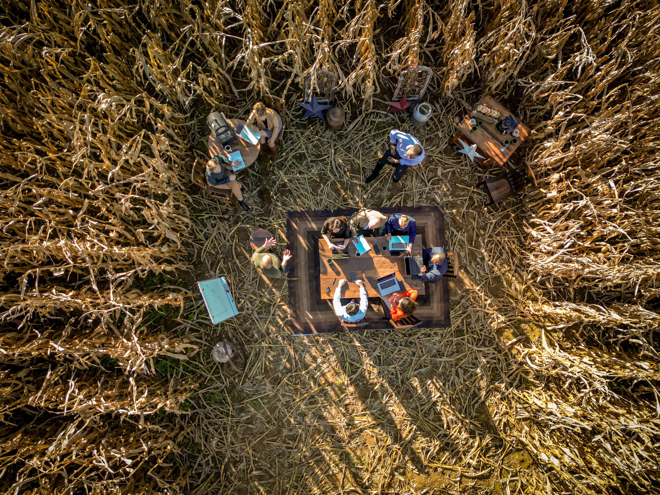 aerial view above a business meeting in center of cornfield