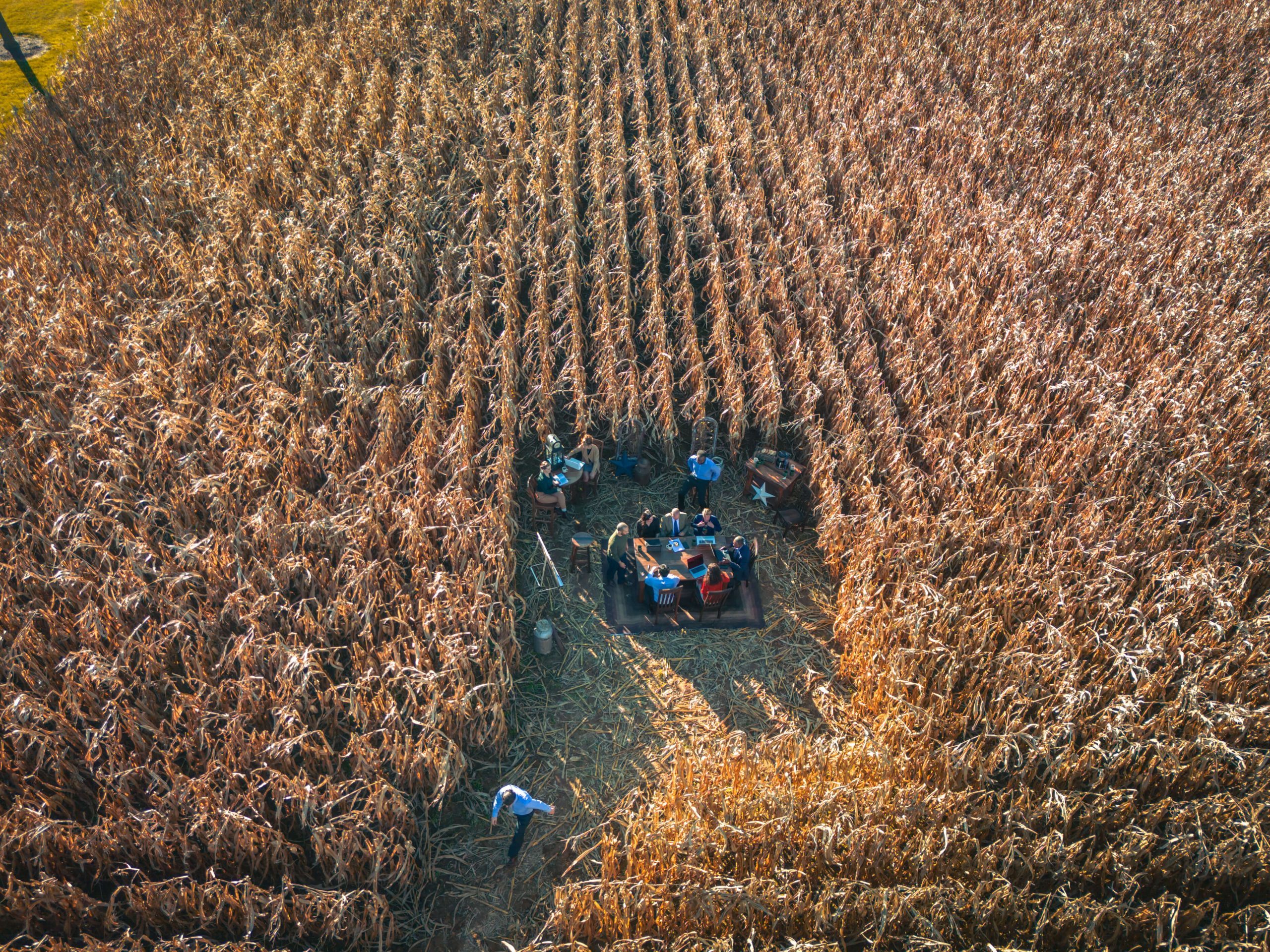 aerial view of business conference in cornfield