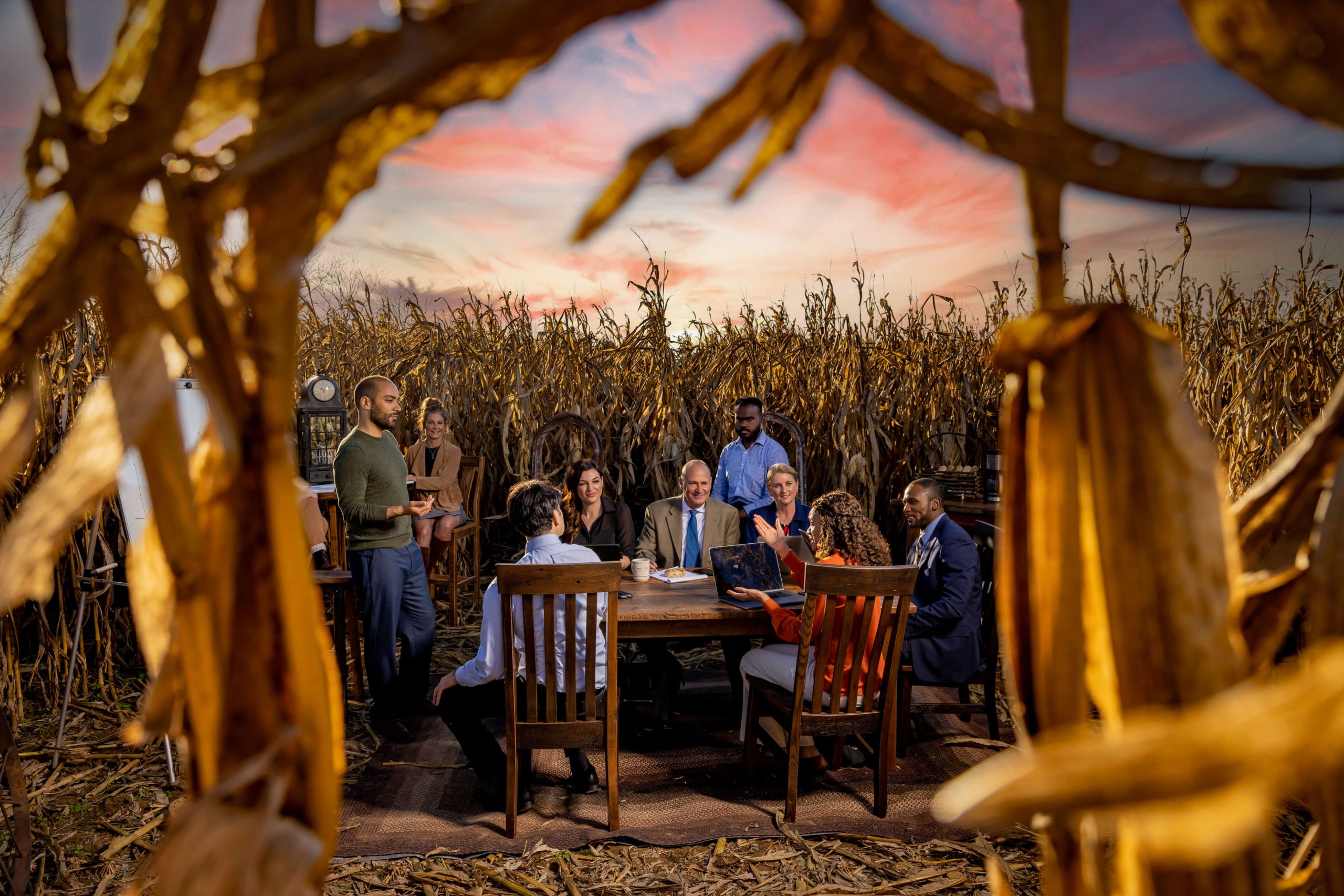 peeking view of a corporate business meeting in a cornfield