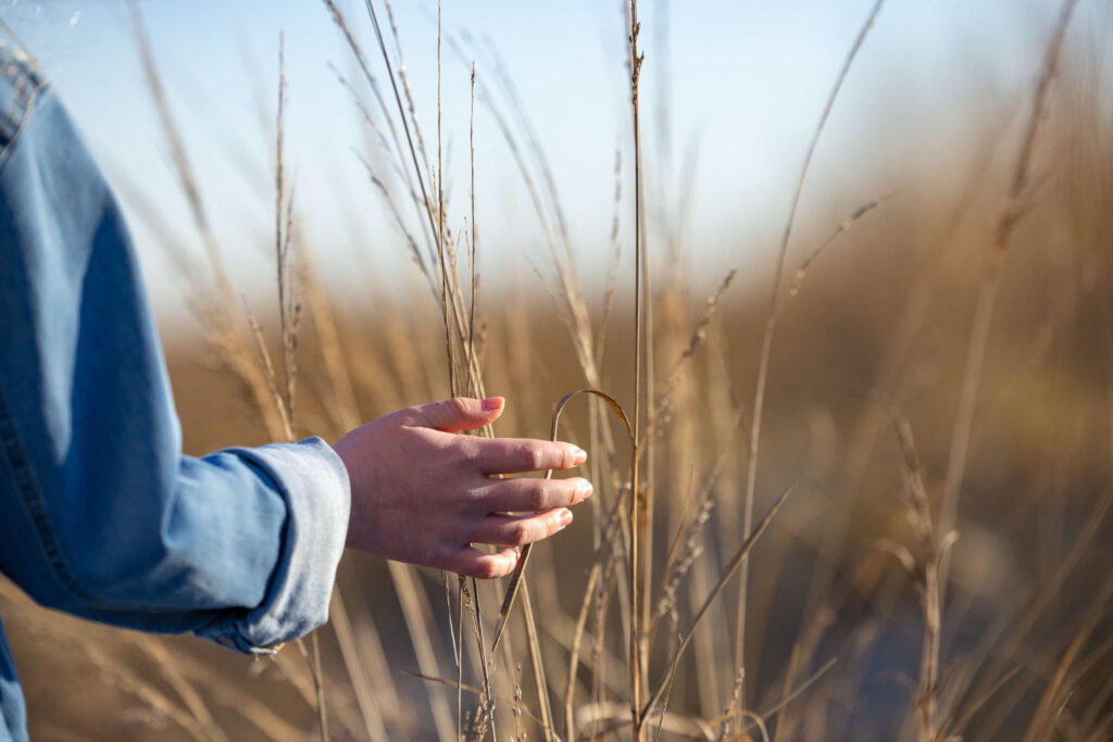 young girl's hand brushing against brown bushes