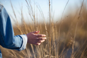 young girl's hand brushing against brown bushes